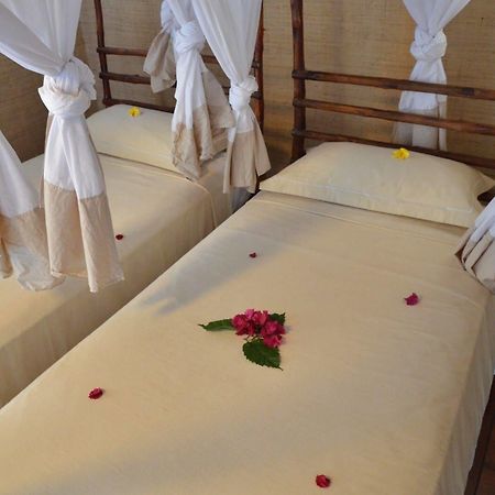 Auberge Le Maki Lodge Ampangorinana Zewnętrze zdjęcie